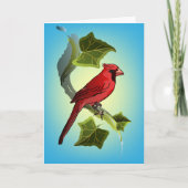 Kardinal auf Zweig mit ivy-Blätter Karte (Vorderseite)