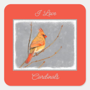 Kardinal auf Zweigbild - Original Bird Art Sq Quadratischer Aufkleber