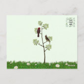 Kardinal Backyard Bird Postkarte (Rückseite)