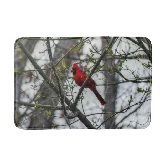 Kardinal Badematte (Vorderseite)