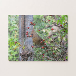 Kardinal bei Bird Feeder, umgeben von Red Berries Puzzle
