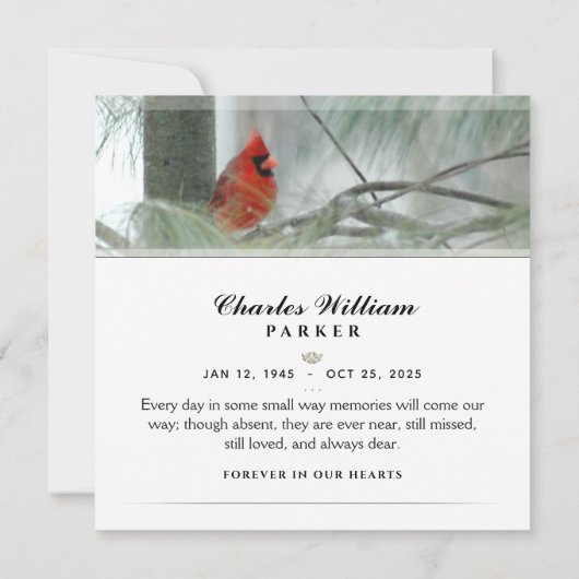 Kardinal bei der Pine SQUARE Beerdigung Dankeschön Dankeskarte (Rückseite)