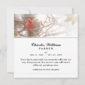 Kardinal bei der Tree SQUARE Beerdigung Dankeschön Dankeskarte (Rückseite)