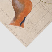 Kardinal Bird Birdhouse Blueprint Decoupage Red Seidenpapier (Detail)