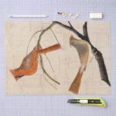 Kardinal Bird Birdhouse Blueprint Decoupage Red Seidenpapier (Handwerk)