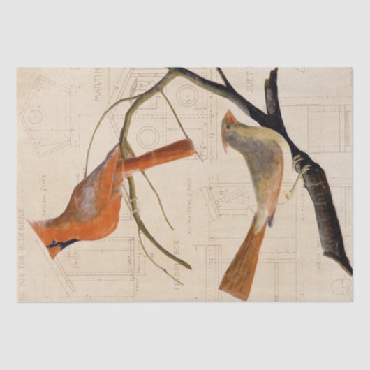 Kardinal Bird Birdhouse Blueprint Decoupage Red Seidenpapier (Vorderseite)