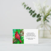 Kardinal Bird Business Card Bird Watching Visitenkarte (Stehend Vorderseite)