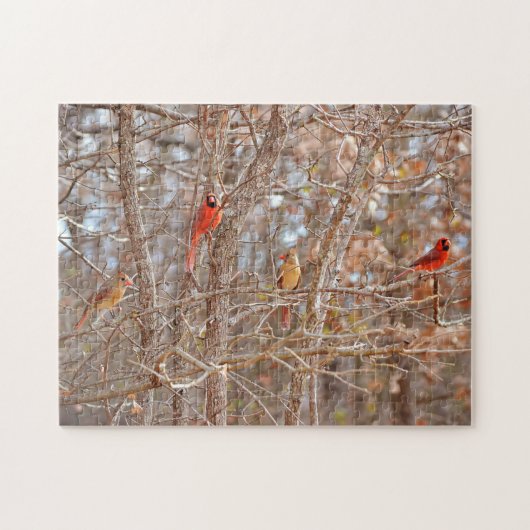 Kardinal Bird Couples Fall Season Tree Nature Puzzle (Horizontal)