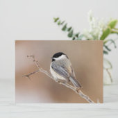 Kardinal Bird im Winter Feiertagskarte (Stehend Vorderseite)