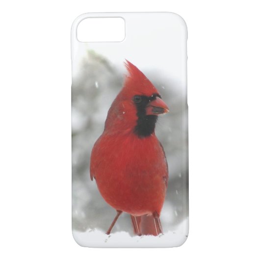 Kardinal Bird iPhone Case (Rückseite)