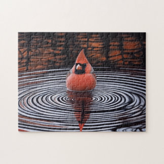 Kardinal Bird macht Bath Puzzle