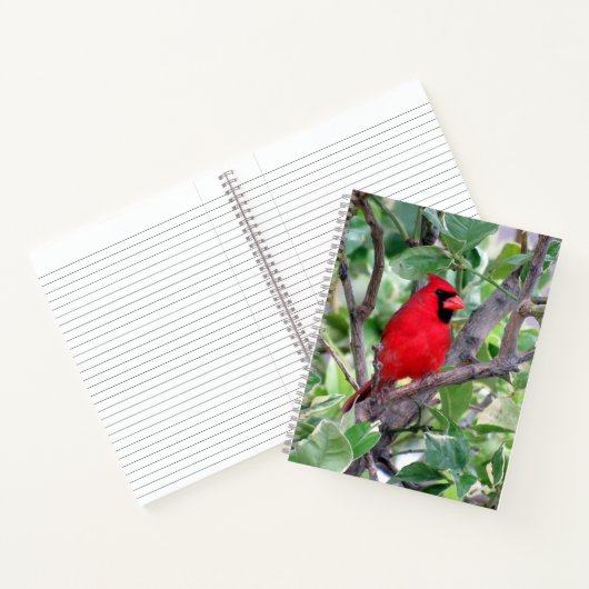 Kardinal (Bird) Notebook, 8.5 x 11 + Notizblock (Innenseite)