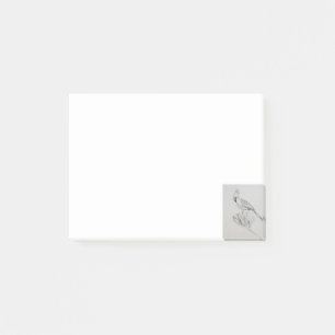 Kardinal Bird Post-It® Notes, 10,2 cm x 7,6 cm Post-it Klebezettel