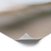 Kardinal Bird Poster (Ecke)