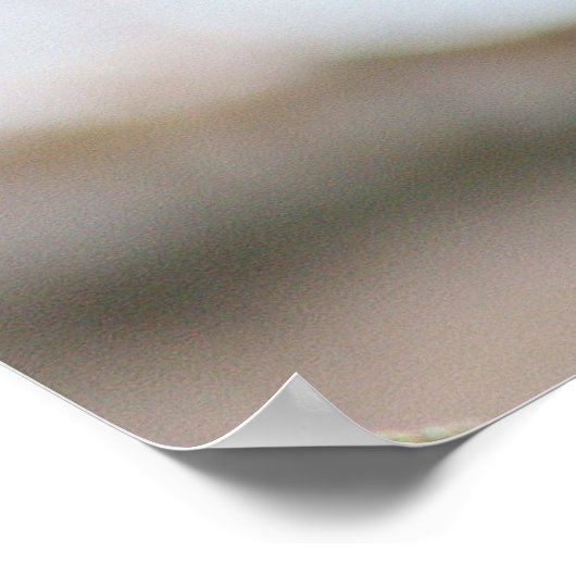 Kardinal Bird Poster (Ecke)