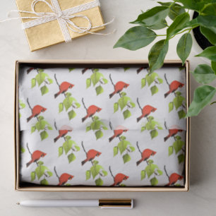 Kardinal Bird Red Seidenpapier