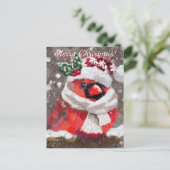 Kardinal Bird Scarf Hat Snow Holiday Postkarte (Stehend Vorderseite)