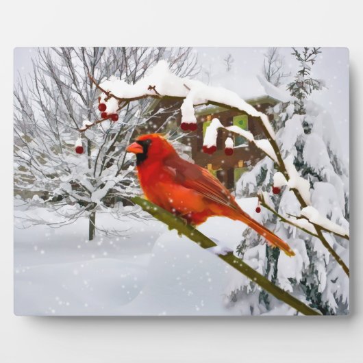 Kardinal Bird, Schnee, Winter Fotoplatte (Vorderseite)