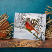 Kardinal Bird, Schnee, Winter Fotoplatte (Seite)