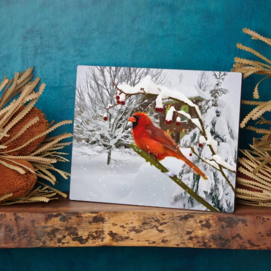 Kardinal Bird, Schnee, Winter Fotoplatte (Seite)