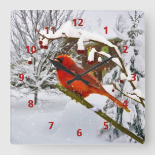 Kardinal Bird, Schnee, Winter Quadratische Wanduhr