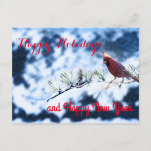 Kardinal Bird Snowy Branch Post Card Feiertagspostkarte