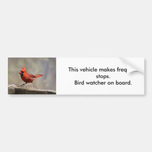 Kardinal Bird Watcher Autoaufkleber