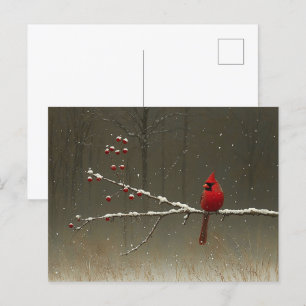 Kardinal Bird Winter Berry Tree Postkarte