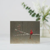 Kardinal Bird Winter Berry Tree Postkarte (Stehend Vorderseite)