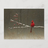Kardinal Bird Winter Berry Tree Postkarte (Vorderseite)