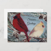 Kardinal Birds Season's Greetings Postkarte (Vorne/Hinten)