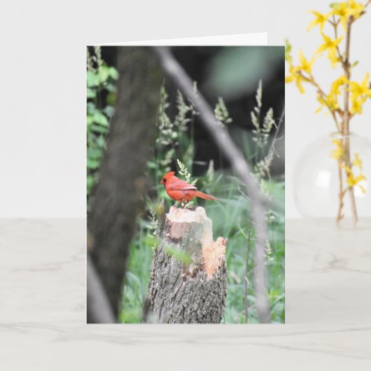 KARDINAL-BIRTHTAGKARTE KARTE (Gelbe Blume)