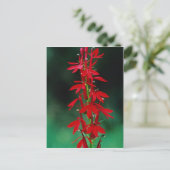 Kardinal Blume Blume Postkarte (Stehend Vorderseite)