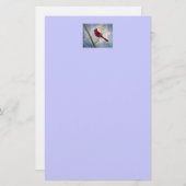 Kardinal Briefpapier (Vorne/Hinten)