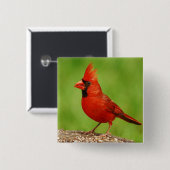 Kardinal Button (Vorne & Hinten)