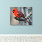 Kardinal Canvas Print Leinwanddruck (Insitu (Holzboden))
