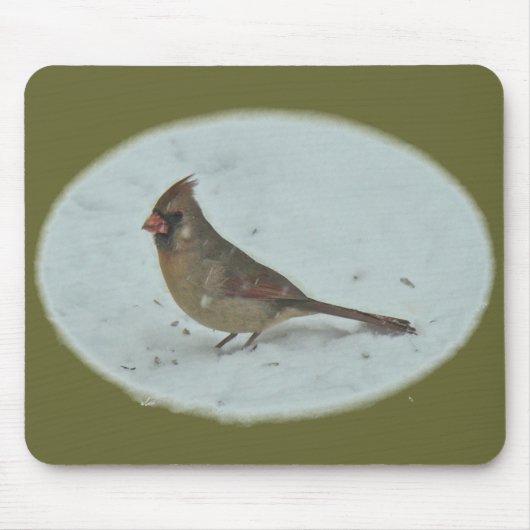 Kardinal (Cardinalis cardinalis) Weibliche Songbir Mousepad (Vorne)