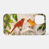 Kardinal Case-Mate iPhone Hülle (Rückseite (Horizontal))