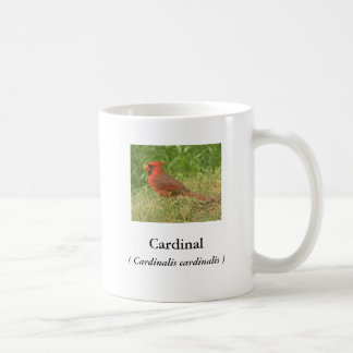 Kardinal Coffee Tasse