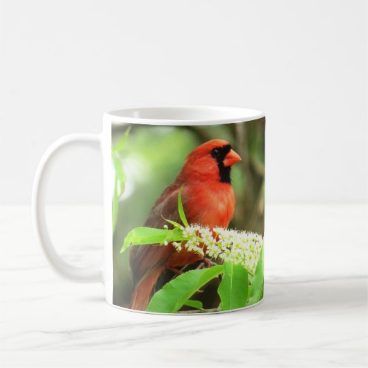 Kardinal Coffee Tasse von BirdingCollectibles (Links)