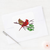 Kardinal Couple auf einer Zweigniederlassung Quadratischer Aufkleber (Umschlag)