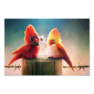 Kardinal Couple - Eric Proctor Fotodruck
