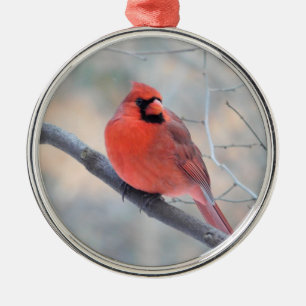 Kardinal Creek Custom Ornament