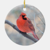 Kardinal Creek Ornament (Hinten)