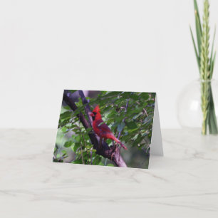 Kardinal Dankeskarte