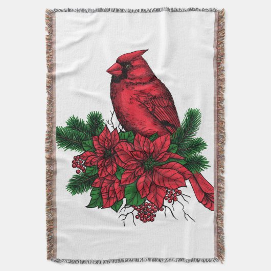 Kardinal Decke (Vorderseite Vertikal)