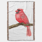 Kardinal Decke (Vorderseite Vertikal)