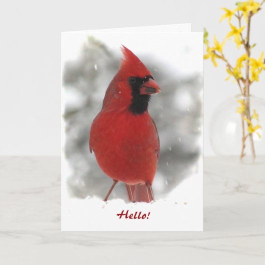 Kardinal denkt an euch karte (Gelbe Blume)