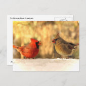Kardinal der Herbstpostkarte Postkarte (Vorne/Hinten)