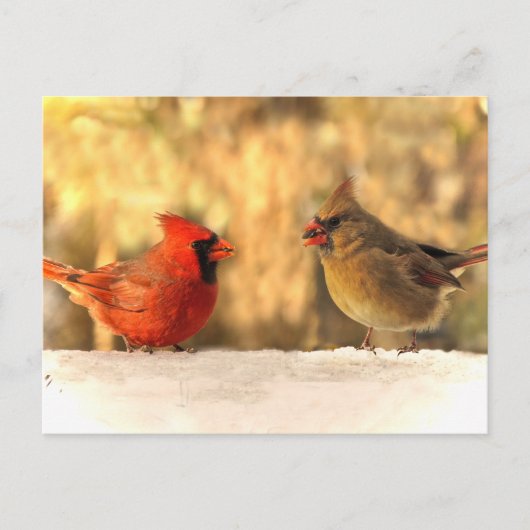 Kardinal der Herbstpostkarte Postkarte (Vorderseite)